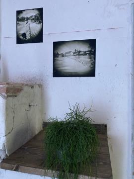 Dogodki v Dularjevem mlinu 7